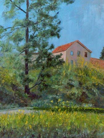 Sue Eberhardt Artist